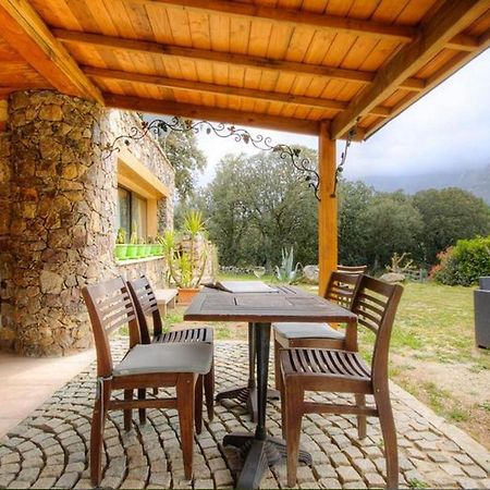 Studio Confortable Avec Vue Sur La Montagne A Moltifao 30M² Jardin Εξωτερικό φωτογραφία