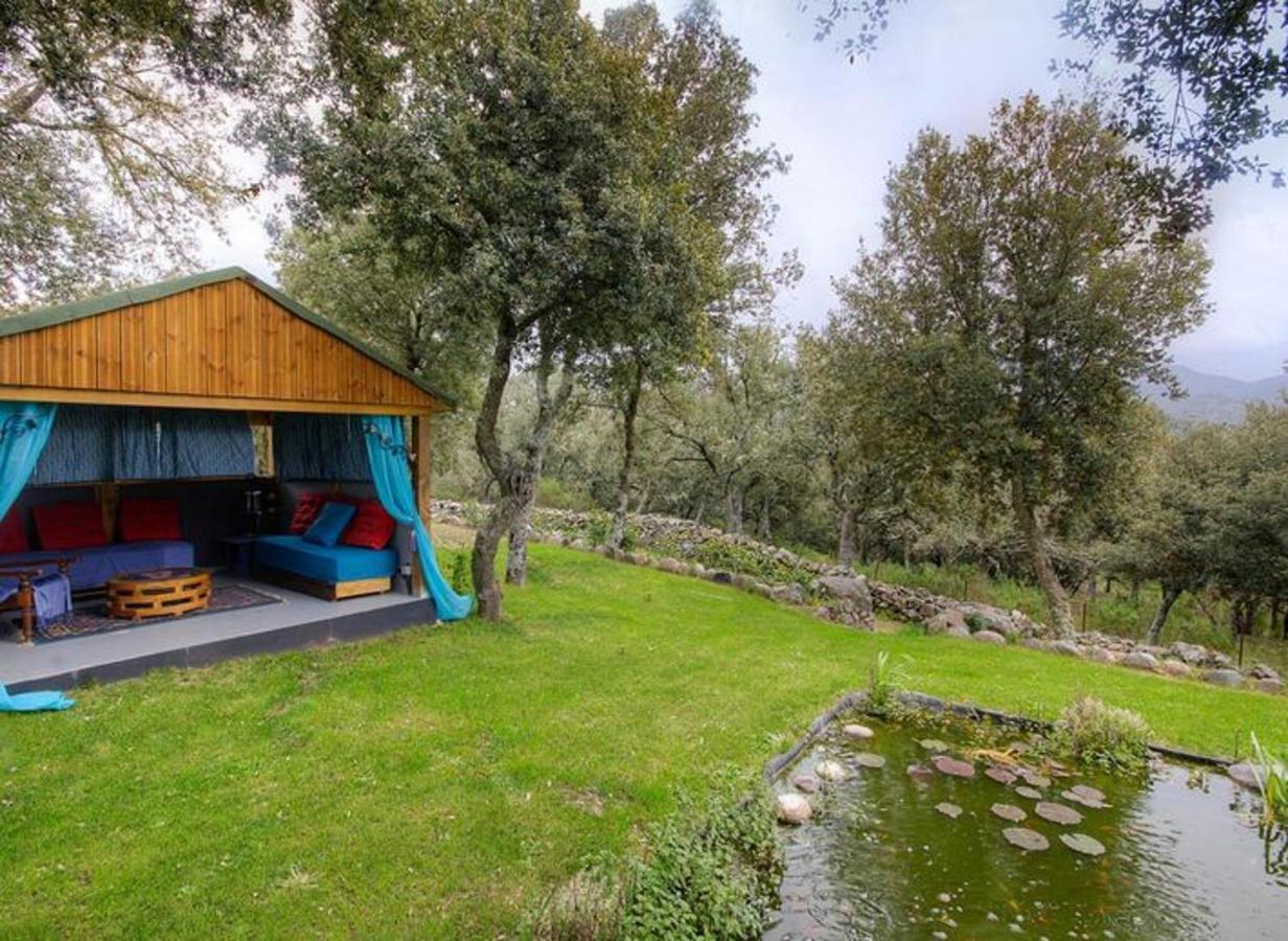 Studio Confortable Avec Vue Sur La Montagne A Moltifao 30M² Jardin Εξωτερικό φωτογραφία