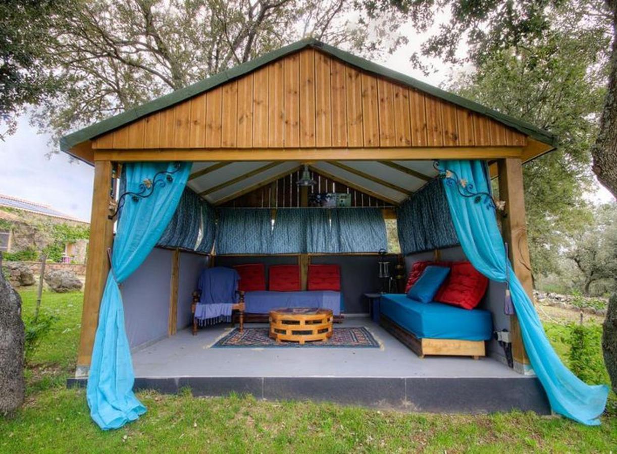Studio Confortable Avec Vue Sur La Montagne A Moltifao 30M² Jardin Εξωτερικό φωτογραφία