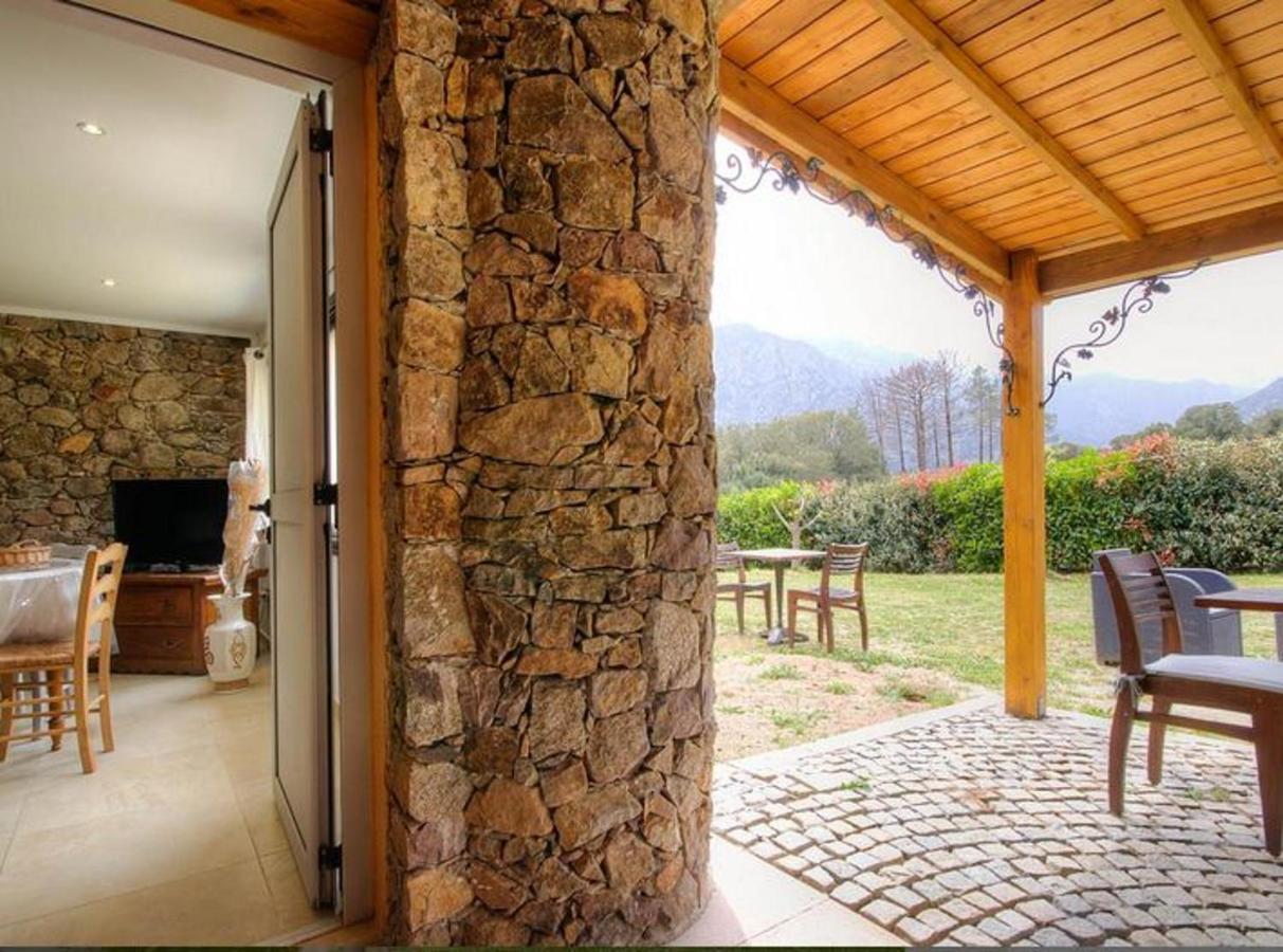 Studio Confortable Avec Vue Sur La Montagne A Moltifao 30M² Jardin Εξωτερικό φωτογραφία