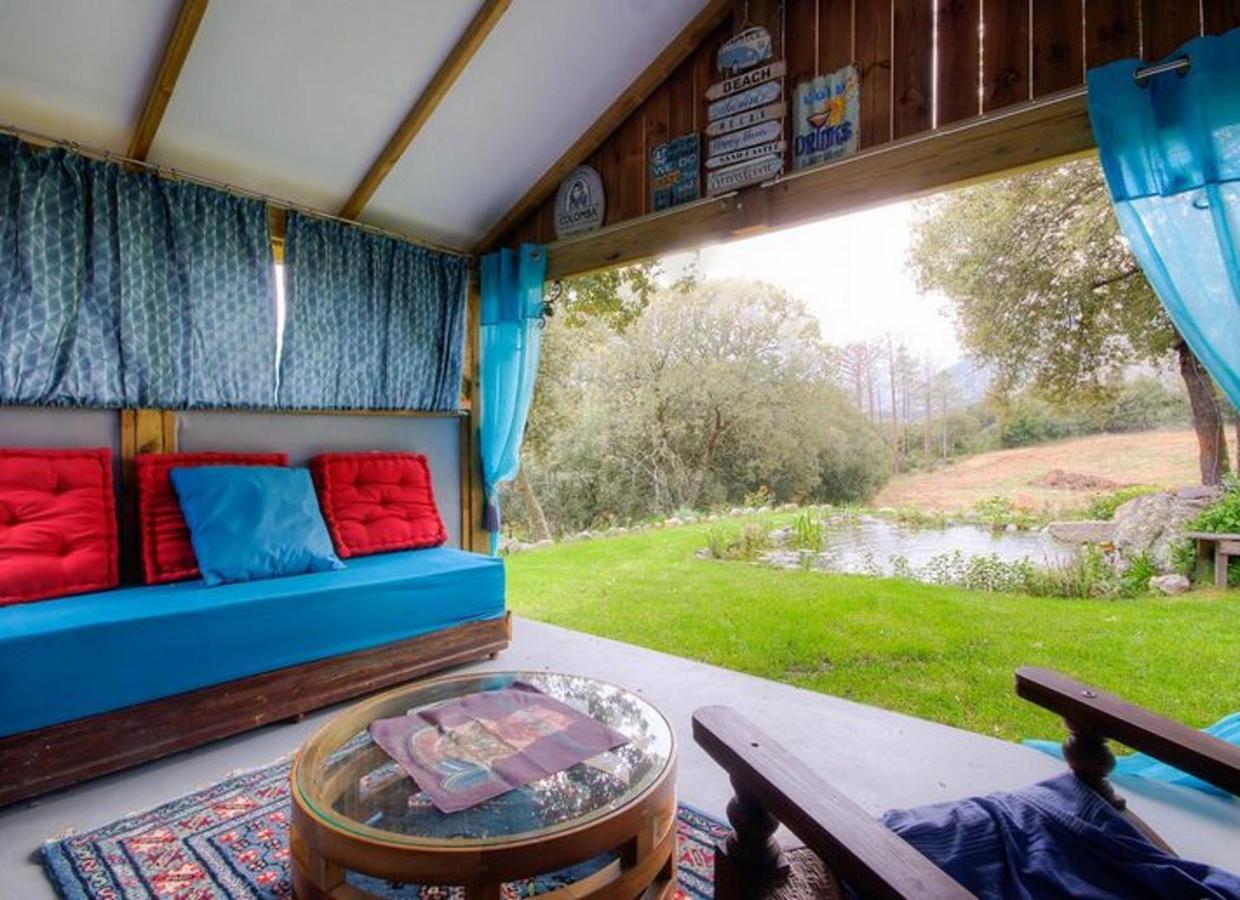 Studio Confortable Avec Vue Sur La Montagne A Moltifao 30M² Jardin Εξωτερικό φωτογραφία