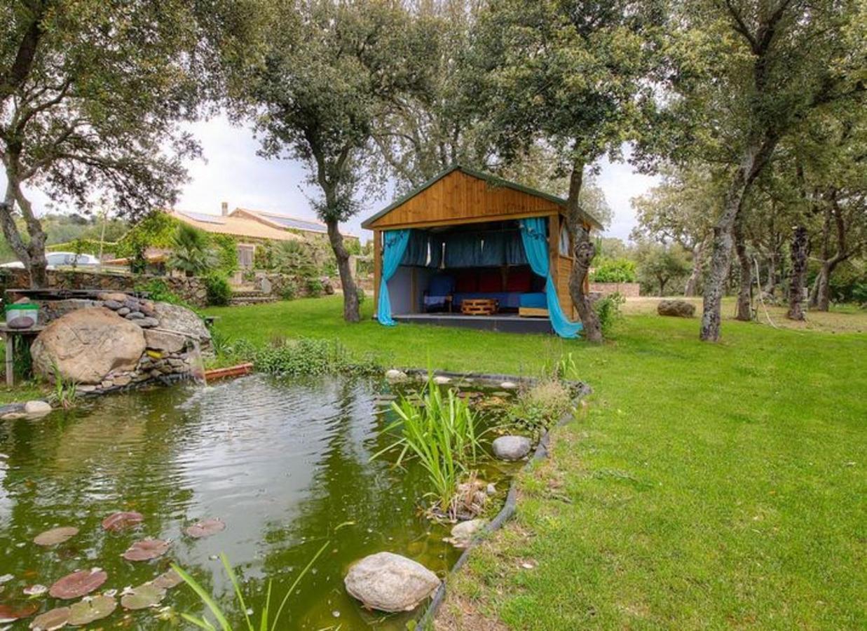 Studio Confortable Avec Vue Sur La Montagne A Moltifao 30M² Jardin Εξωτερικό φωτογραφία