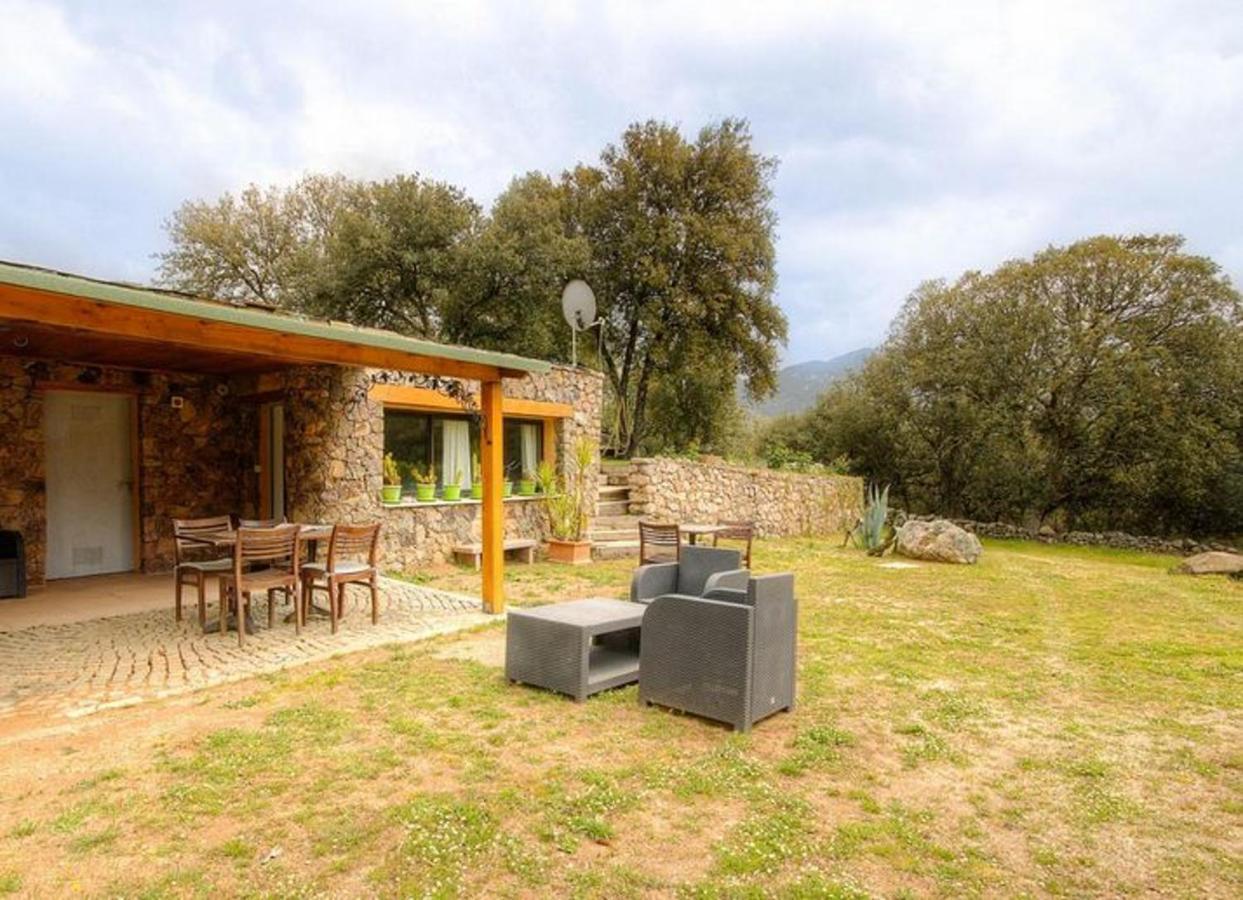 Studio Confortable Avec Vue Sur La Montagne A Moltifao 30M² Jardin Εξωτερικό φωτογραφία